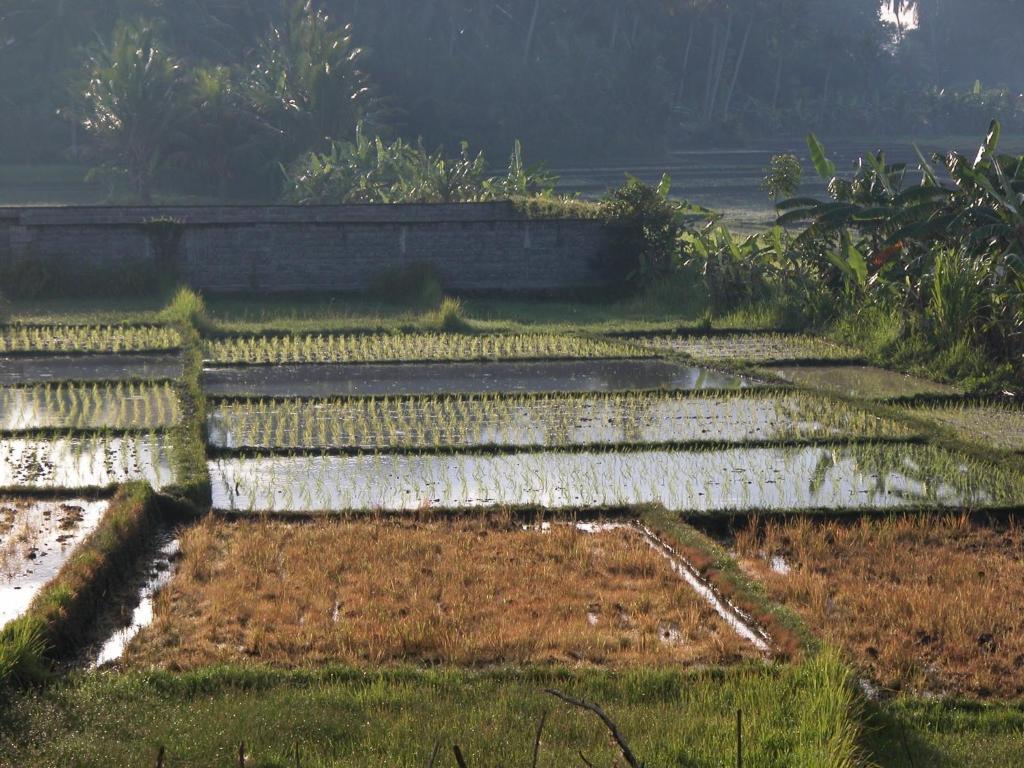 Villa Kawan Tanah Lot  Bilik gambar